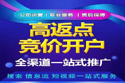 高效百度推广案例解析及优化策略